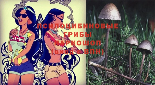 кокаин колумбия Белокуриха